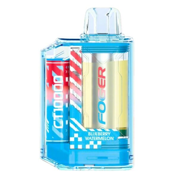 Foger Blueberry Water Melon CT10000 Disposable Vape 10000 Puffs