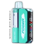 Foger Cool Mint Switch Pro Kit 30K Puffs