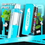 Foger Gum Mint Switch Pro Kit 30K Puffs