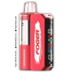Foger Watermelon Ice Switch Pro Kit 30K Puffs