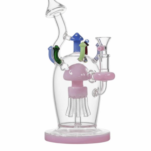 Premium Glass Water Pipes Collection 13