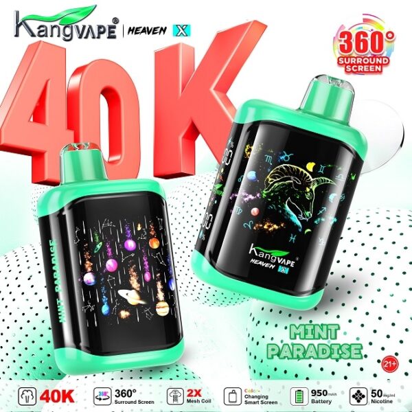 Kang  Vape - mint-paradise 40K Puffs